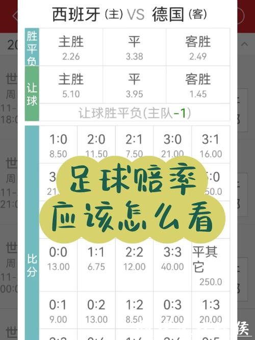 世界杯投注技巧分享：从赔率分析到投注模式